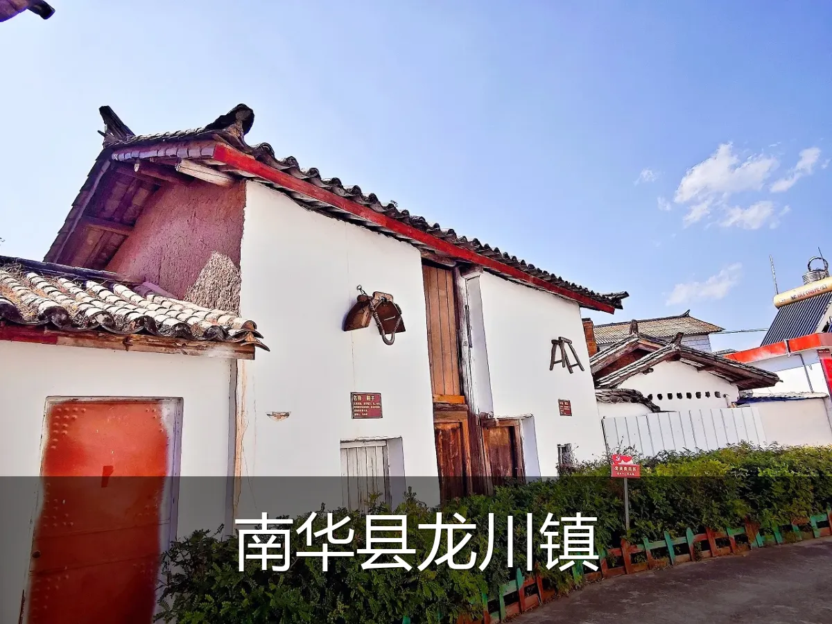 南华县龙川镇